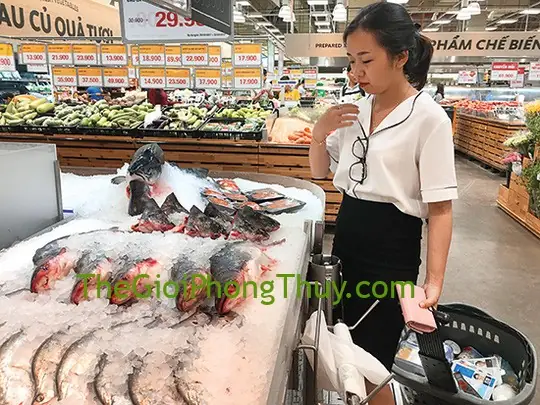 mơ thấy cá trích đánh con gì - Hình 5