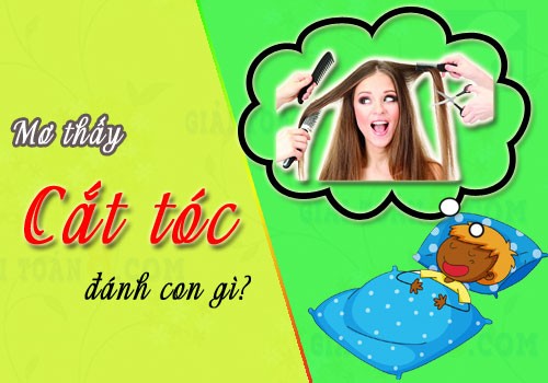 mơ thấy cắt tóc đánh con gì - Hình 5