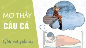 mơ thấy câu cá đánh con gì