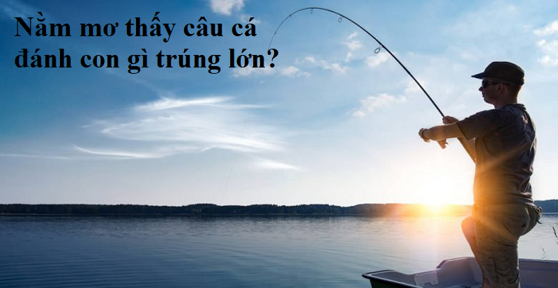 mơ thấy câu cá đánh con gì - Hình 5