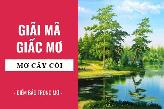 mơ thấy cây cối đánh con gì - Hình 3