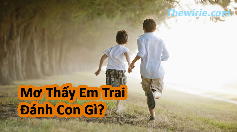 mơ thấy cháu trai đánh con gì - Hình 1