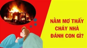 mơ thấy cháy nhà đánh con gì
