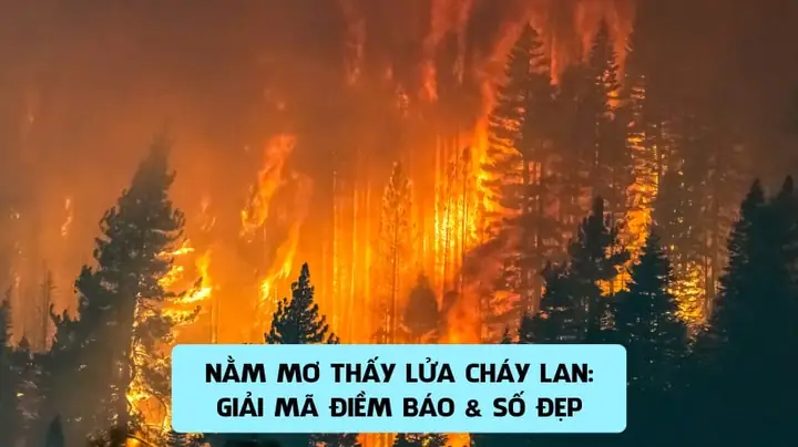 mơ thấy cháy rừng đánh con gì - Hình 3