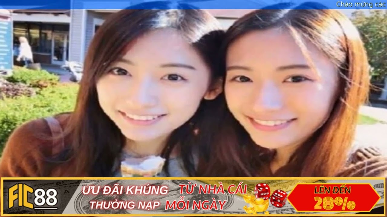 mơ thấy chị gái đánh con gì - Hình 3