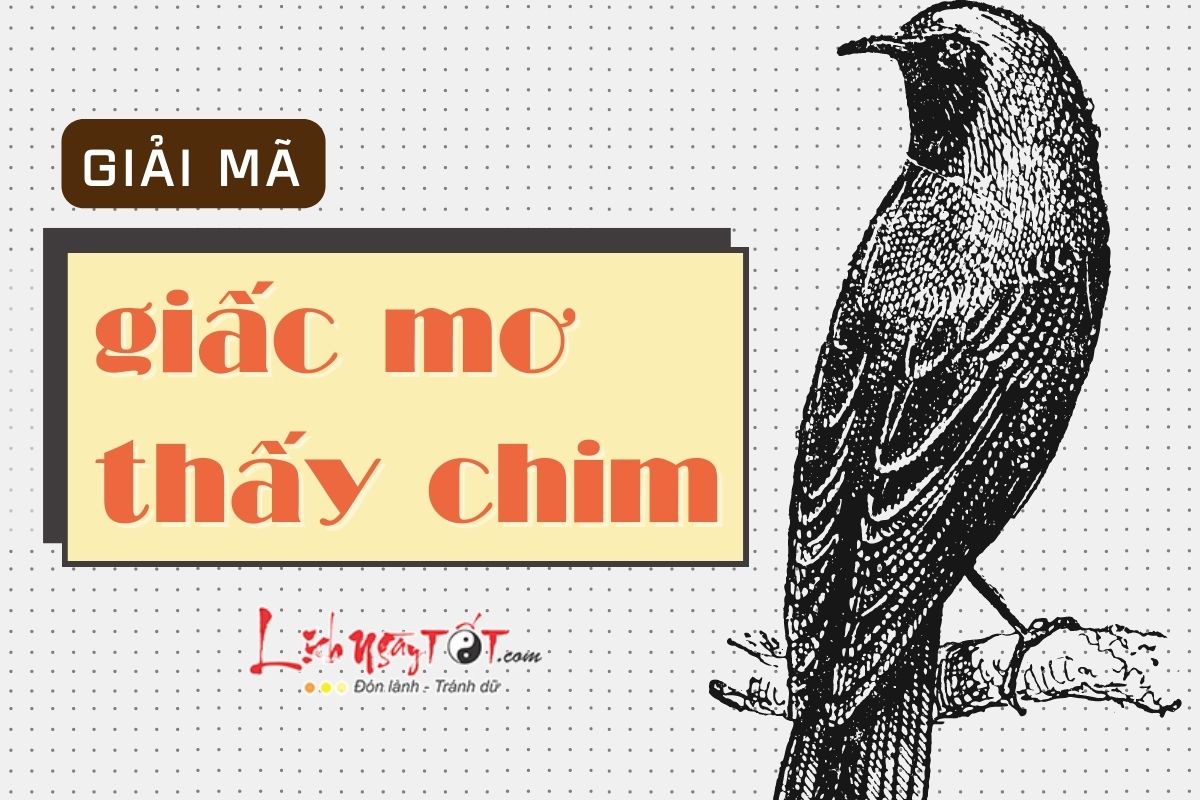 mơ thấy chim bói cá đỏ đánh con gì - Hình 3
