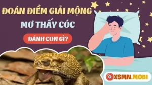 mơ thấy chim cốc đánh con gì