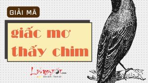 mơ thấy chim công đánh con gì