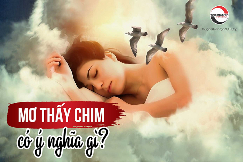 mơ thấy chim cuốc đánh con gì - Hình 4