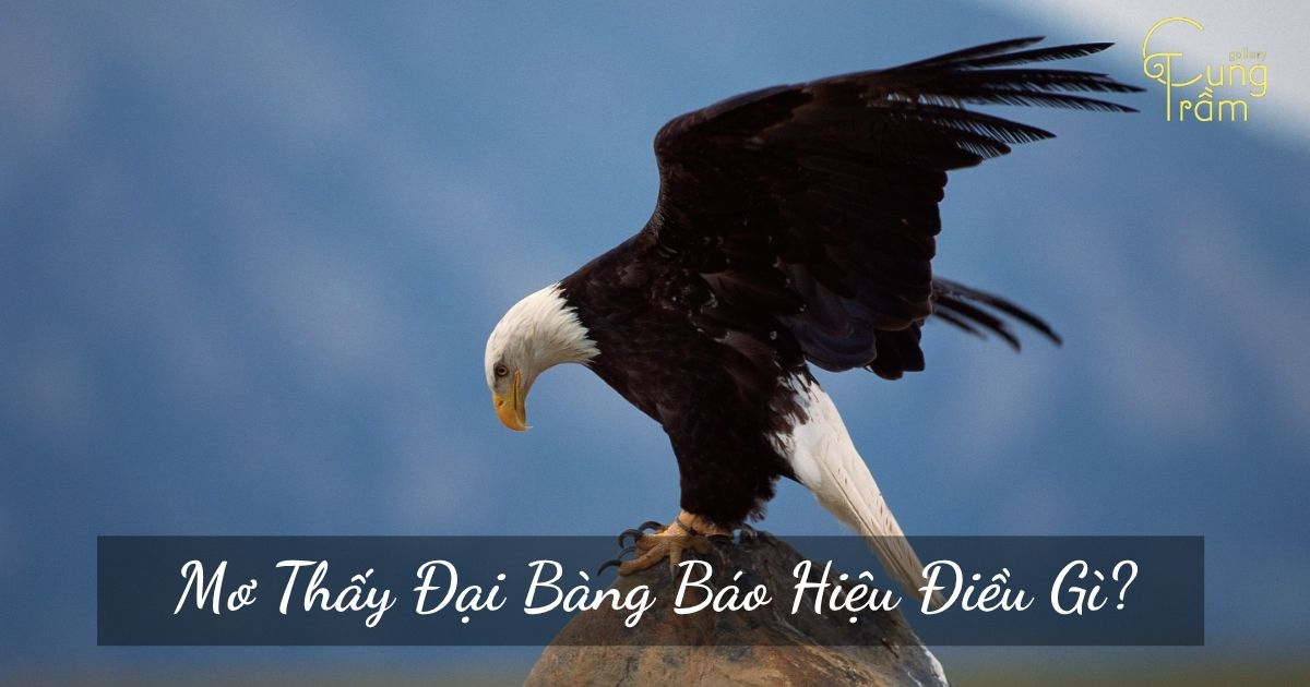 mơ thấy chim đại bàng đánh con gì - Hình 2