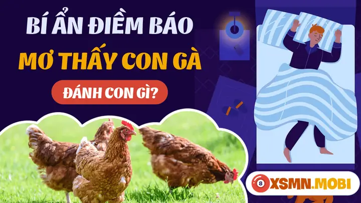mơ thấy chim gà rừng đánh con gì - Hình 4