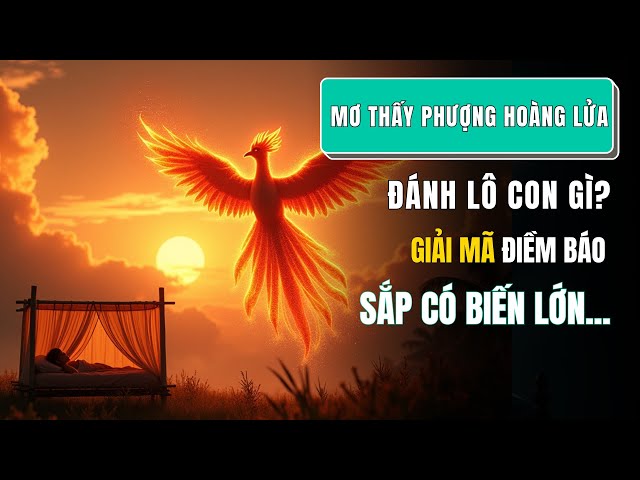 mơ thấy chim phượng đất đánh con gì - Hình 5