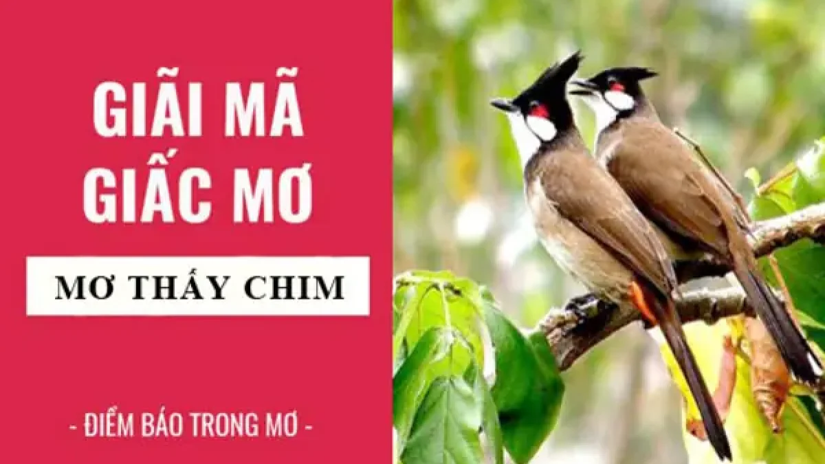 mơ thấy chim ưng đánh con gì - Hình 4
