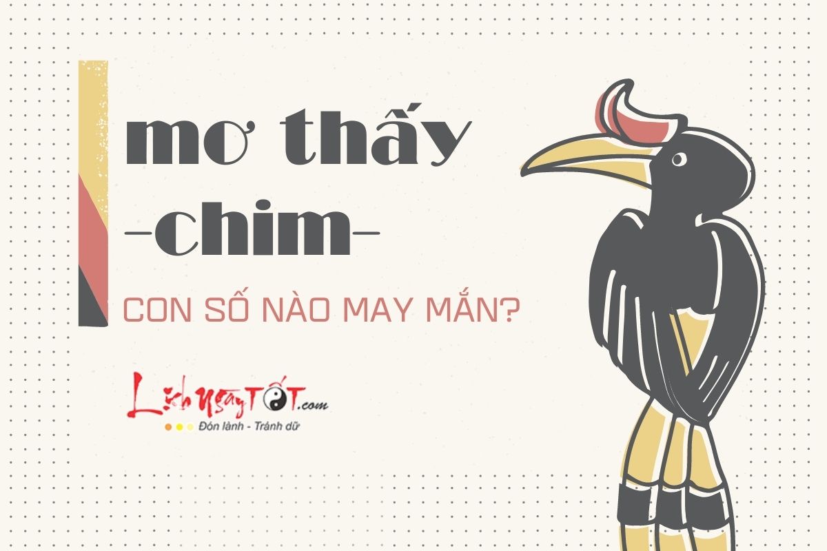 mơ thấy chim ưng đánh con gì - Hình 5