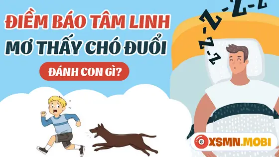 mơ thấy chó đánh con gì - Hình 4