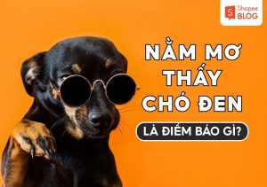 mơ thấy chó đen đánh con gì