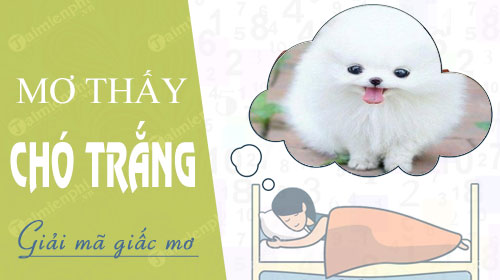 mơ thấy chó trắng đánh con gì - Hình 4