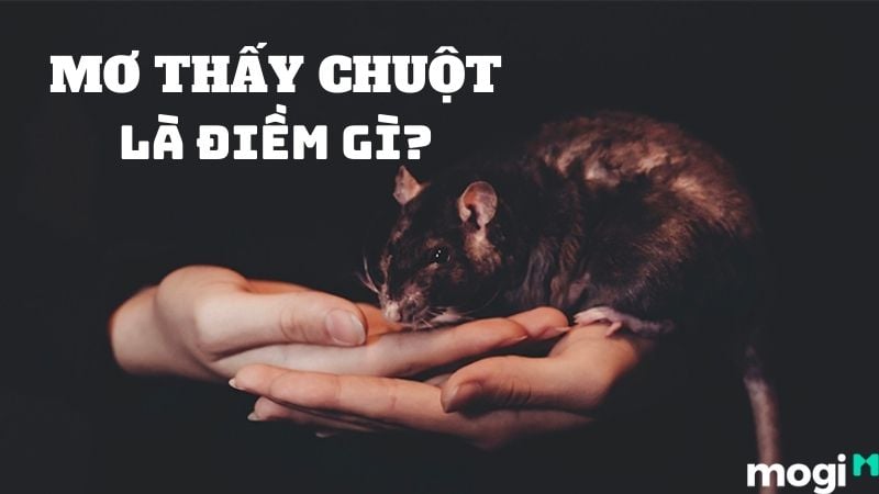 mơ thấy chuột cắn đánh con gì - Hình 2