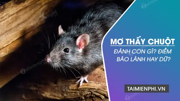 mơ thấy chuột chết đánh con gì - Hình 3