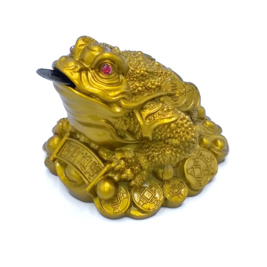 mơ thấy cóc đánh con gì - Hình 2