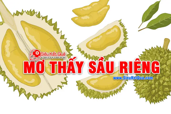 mơ thấy con riêng đánh con gì - Hình 3
