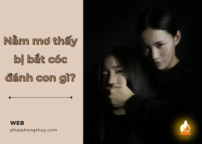 mơ thấy con trai đánh con gì - Hình 5