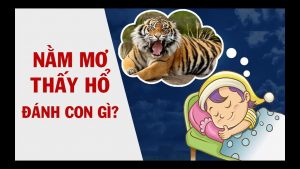 mơ thấy cọp đánh con gì