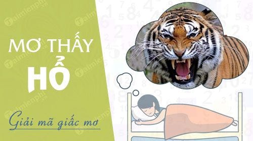 mơ thấy cọp đánh con gì - Hình 5