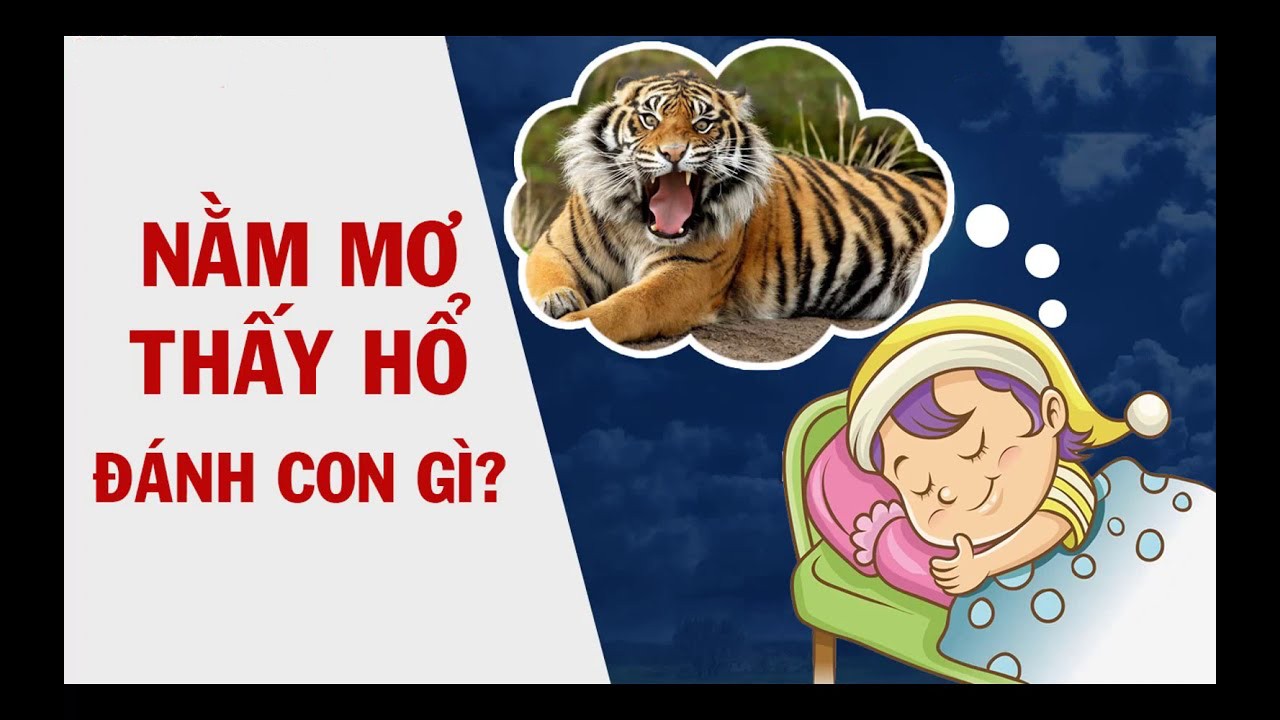 mơ thấy cọp đánh con gì - Hình 1