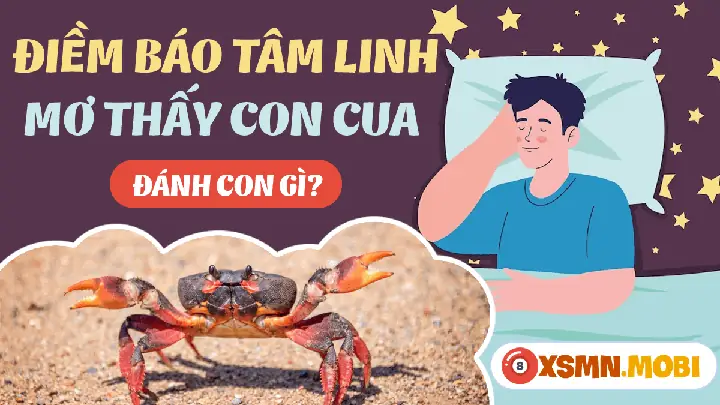 mơ thấy cua biển đánh con gì - Hình 4
