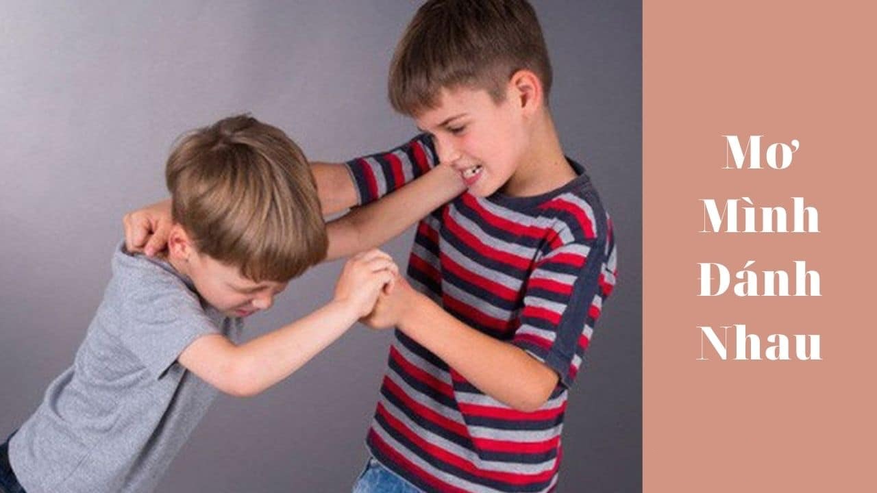 mơ thấy đánh nhau đánh con gì - Hình 4