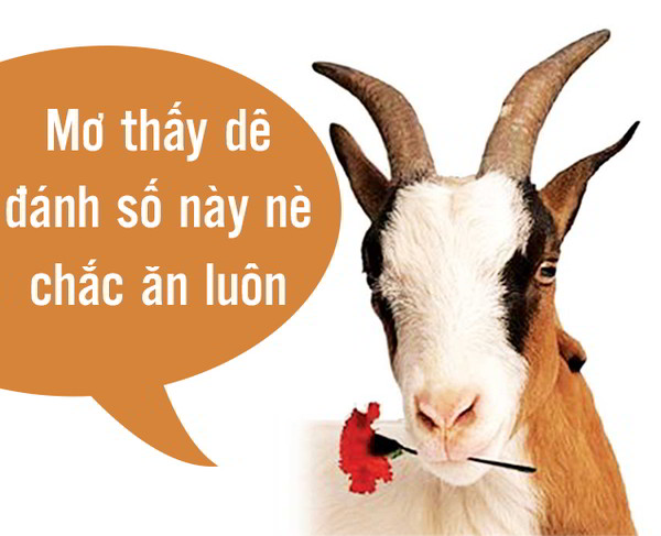 mơ thấy dê đánh con gì - Hình 2