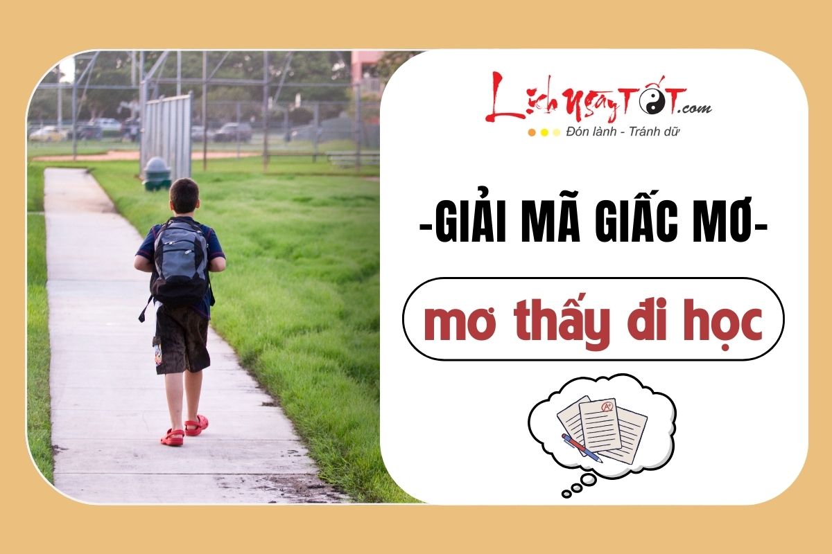 mơ thấy đi học đánh con gì - Hình 1