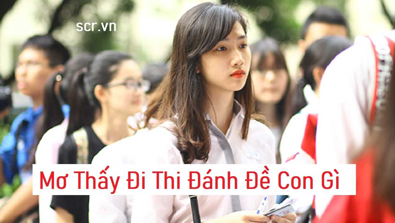 mơ thấy đi thi đánh con gì - Hình 3
