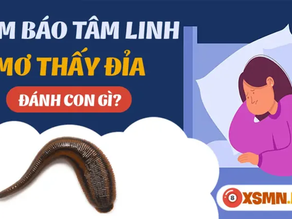 mơ thấy đỉa đánh con gì - Hình 3