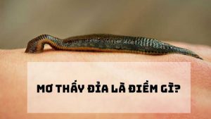 mơ thấy đỉa đánh con gì