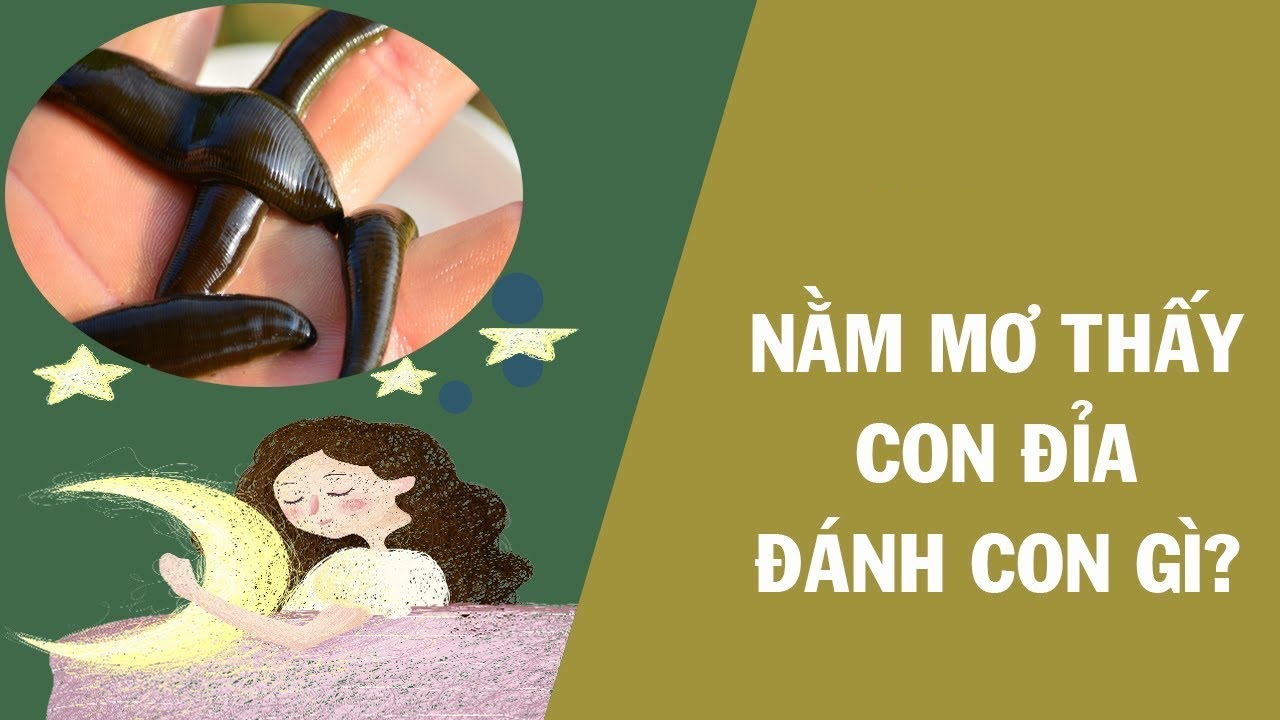 mơ thấy đỉa đánh con gì - Hình 4