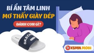 mơ thấy đôi dép đánh con gì