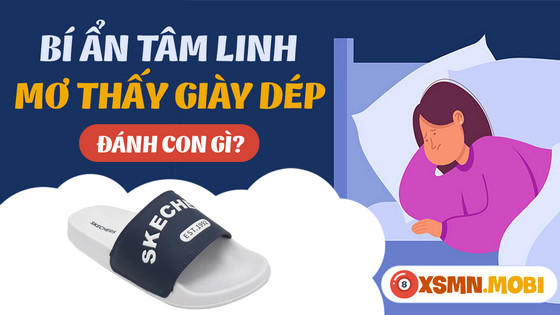 mơ thấy đôi giày đánh con gì - Hình 4