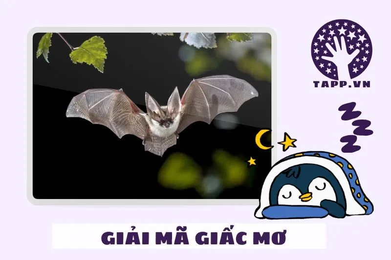 mơ thấy dơi trắng đánh con gì - Hình 2