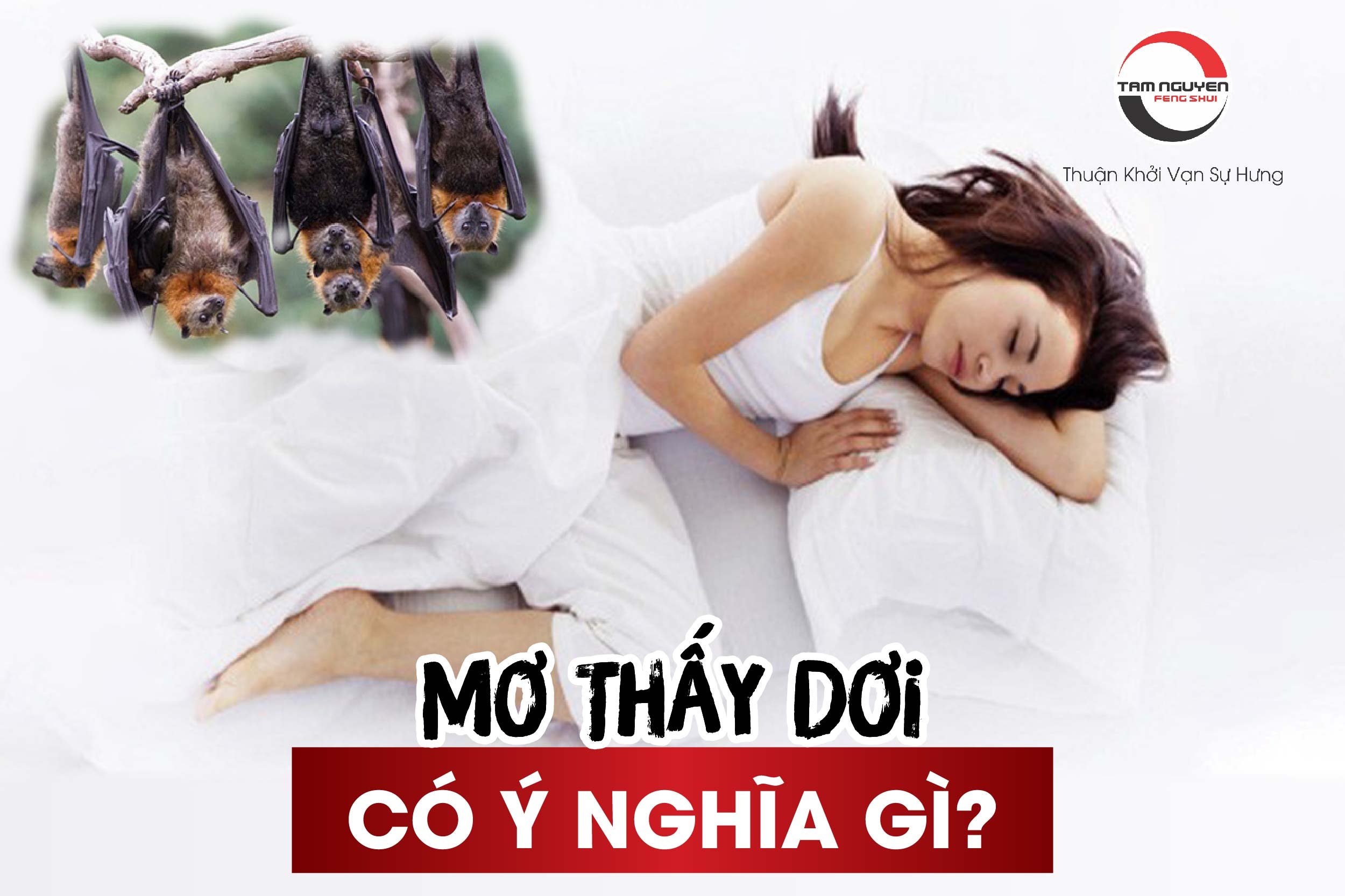 mơ thấy dơi trắng đánh con gì - Hình 3
