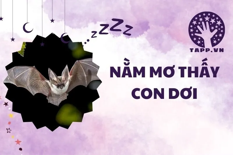 mơ thấy dơi trắng đánh con gì - Hình 5