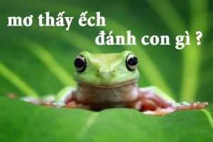 mơ thấy ếch đánh con gì