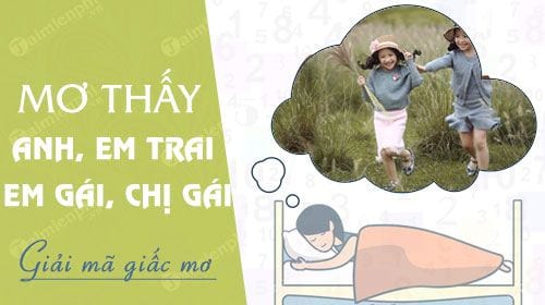 mơ thấy em trai đánh con gì - Hình 5