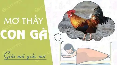 mơ thấy gà đánh con gì - Hình 1