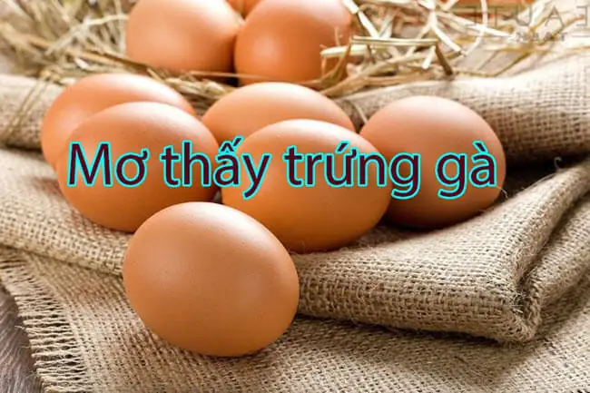 mơ thấy gà đẻ trứng đánh con gì - Hình 3