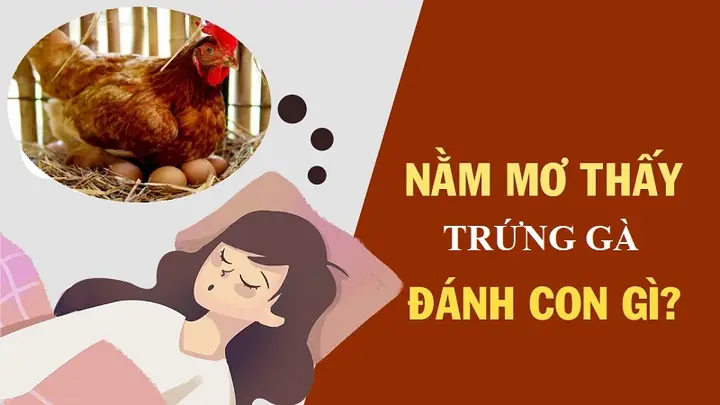 mơ thấy gà đẻ trứng đánh con gì - Hình 4