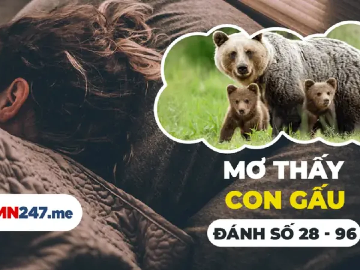 mơ thấy gấu nâu đánh con gì - Hình 1