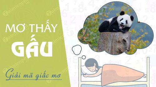 mơ thấy gấu trắng đánh con gì - Hình 2