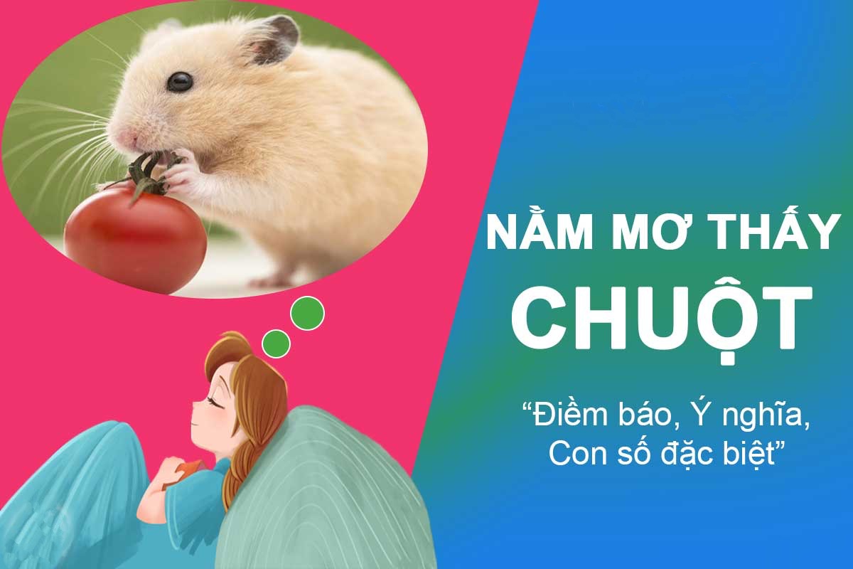 mơ thấy giết chuột đánh con gì - Hình 3